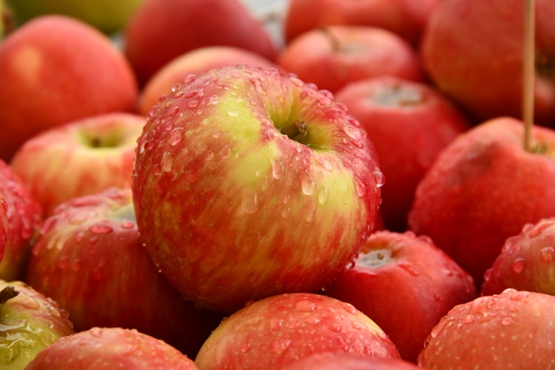 Crisp orchard apples